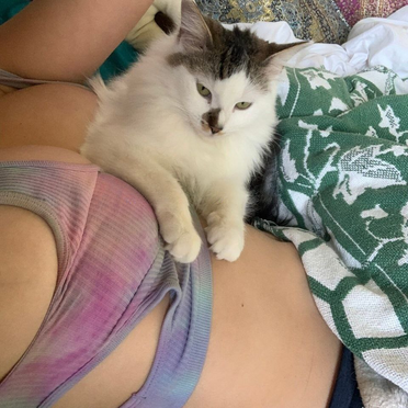 cosmic_kitty_cat - Ücretsiz Türk İfşa İçeriği 18